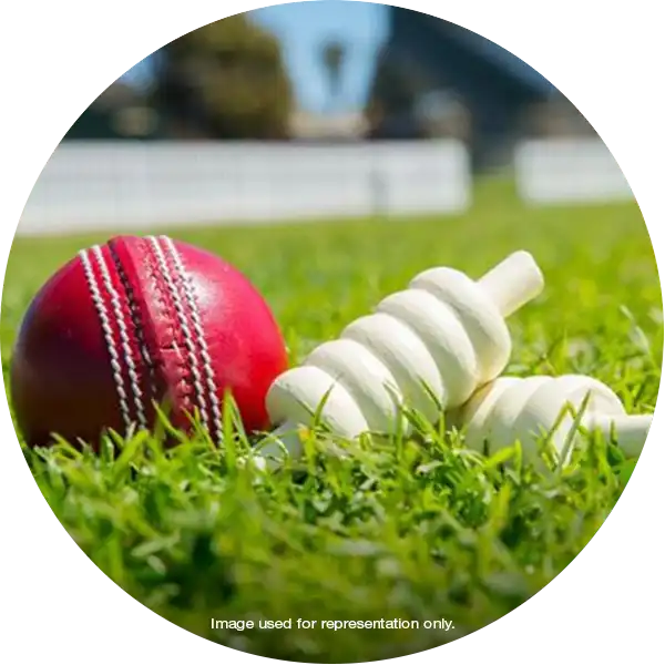 Cricket Practice Pitch