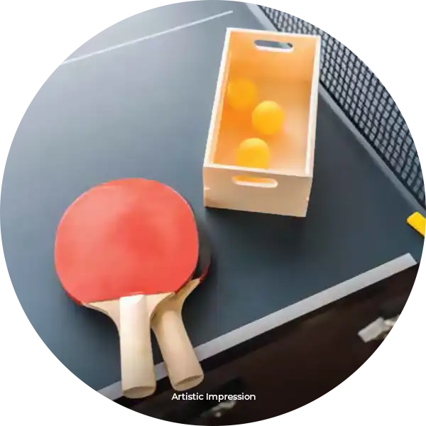 Table Tennis
